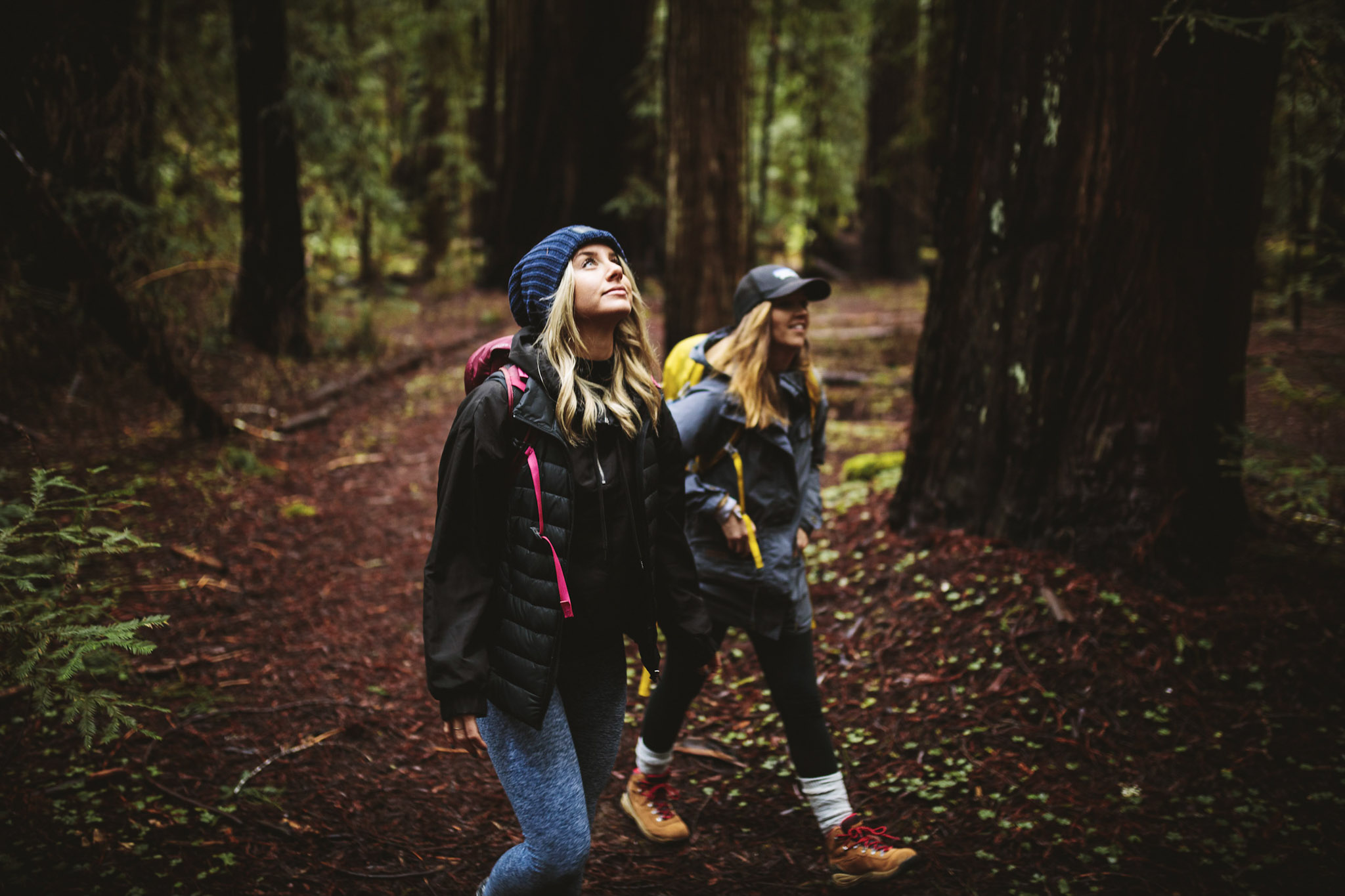 Outbound in Montgomery Woods