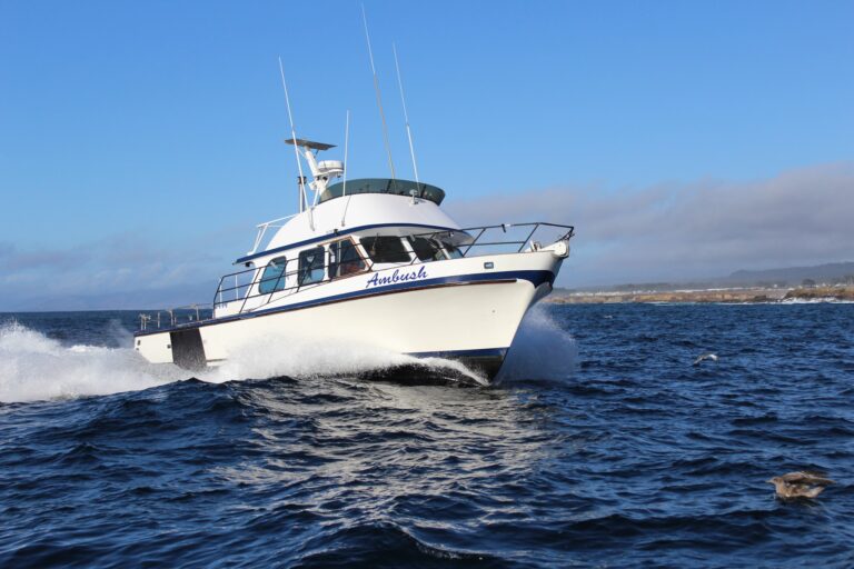 Anchor Charter Boats