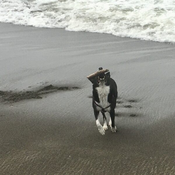 Abbey at the coast