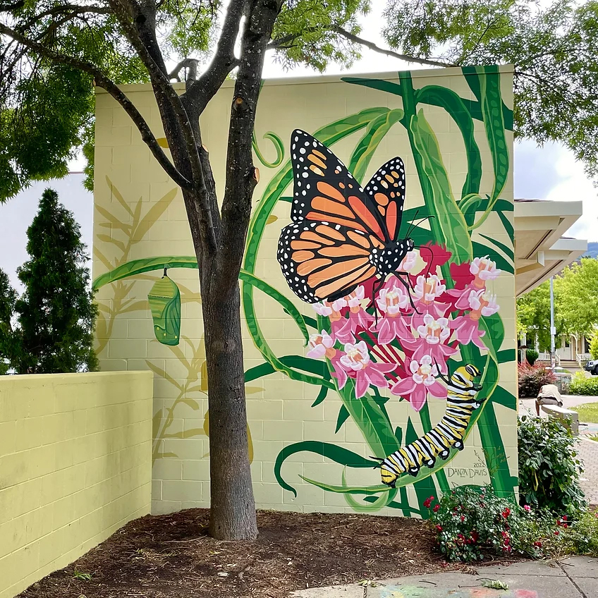 Danza Davis- Ukiah Murals