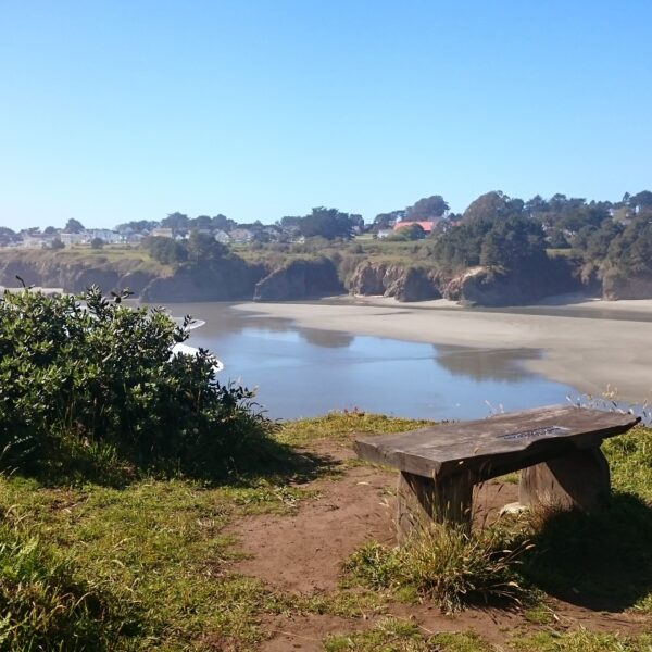 Mendocino Bay