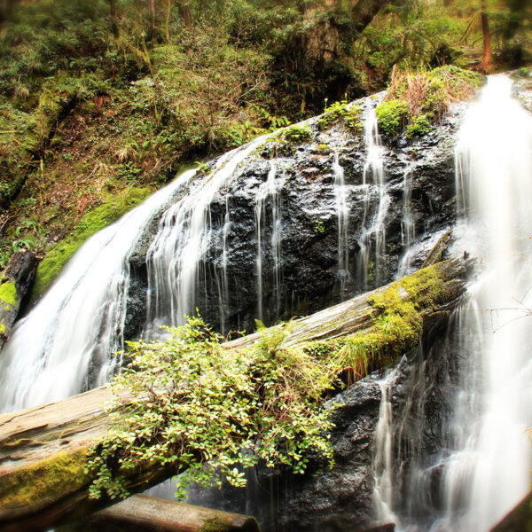 fern-canyon-waterfall_sm.jpg