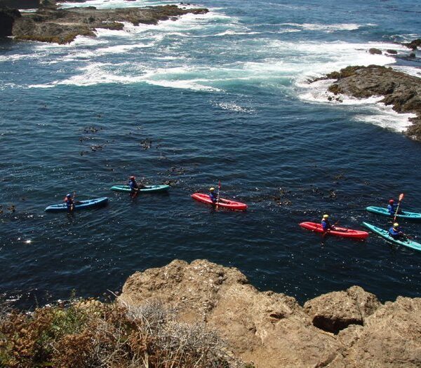 Kayak Mendocino