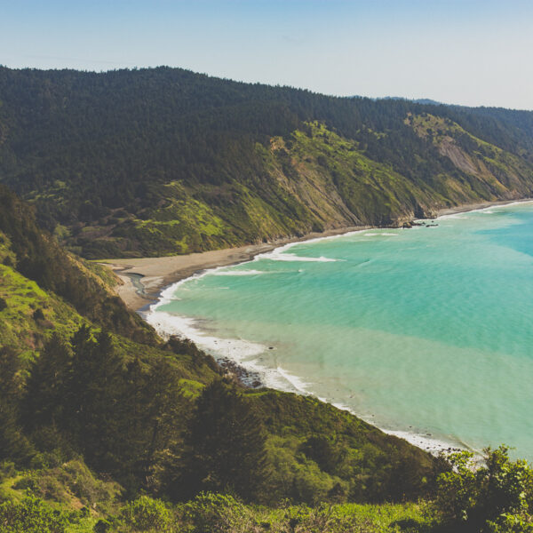 lost_coast-8.jpg