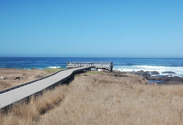 MacKerricher-Boardwalk-DFF.jpg