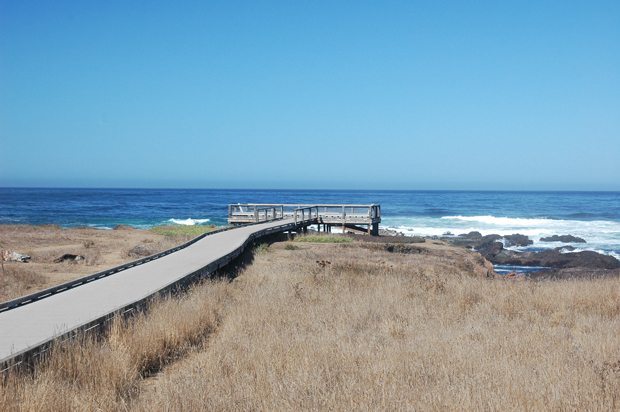 MacKerricher-Boardwalk-DFF