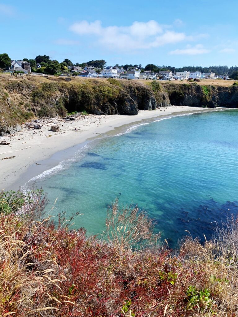 Mendocino-Headlands-8-scaled