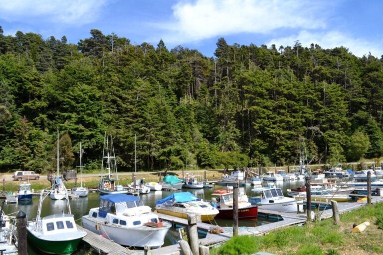 Noyo-Harbor-Boats