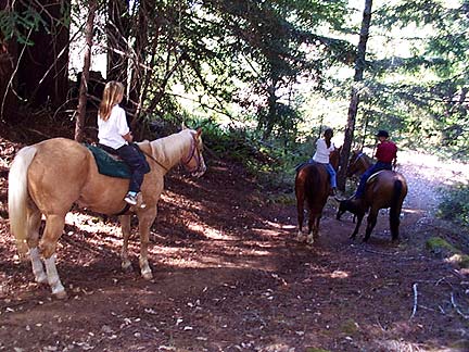 Ross-Ranch-Rides