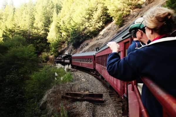 Skunk Train