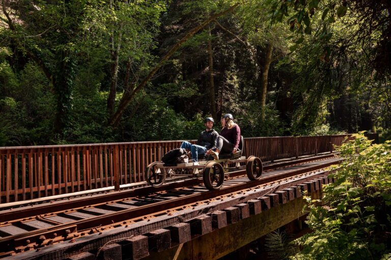 skunk_train_railbike_5_31_22_nikzphoto-47 copy