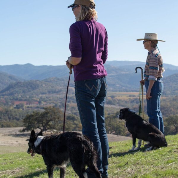 UC-Hopland-Sheepdog-Trails.jpg