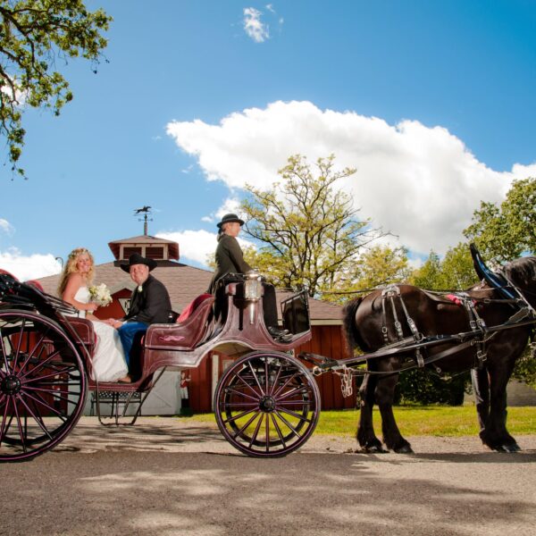 wedding-photo-credit-Susan-Munroe.jpg