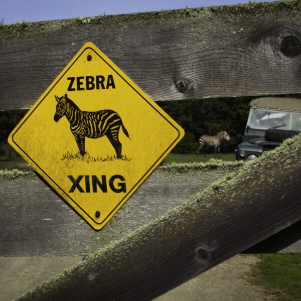 ZebraXing.jpg